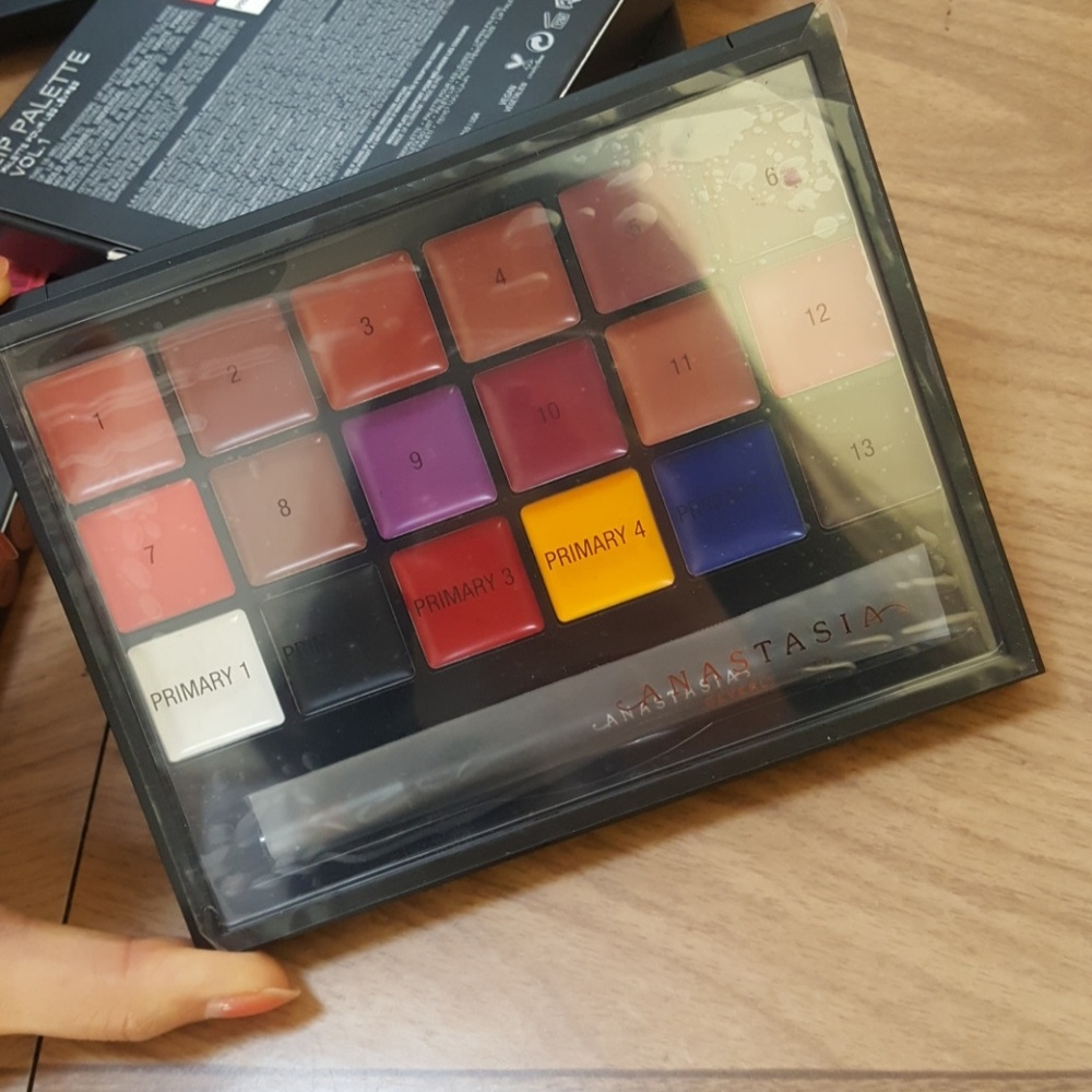 *NEW* Anastasia Beverly Hills Lip Palette Vol.1